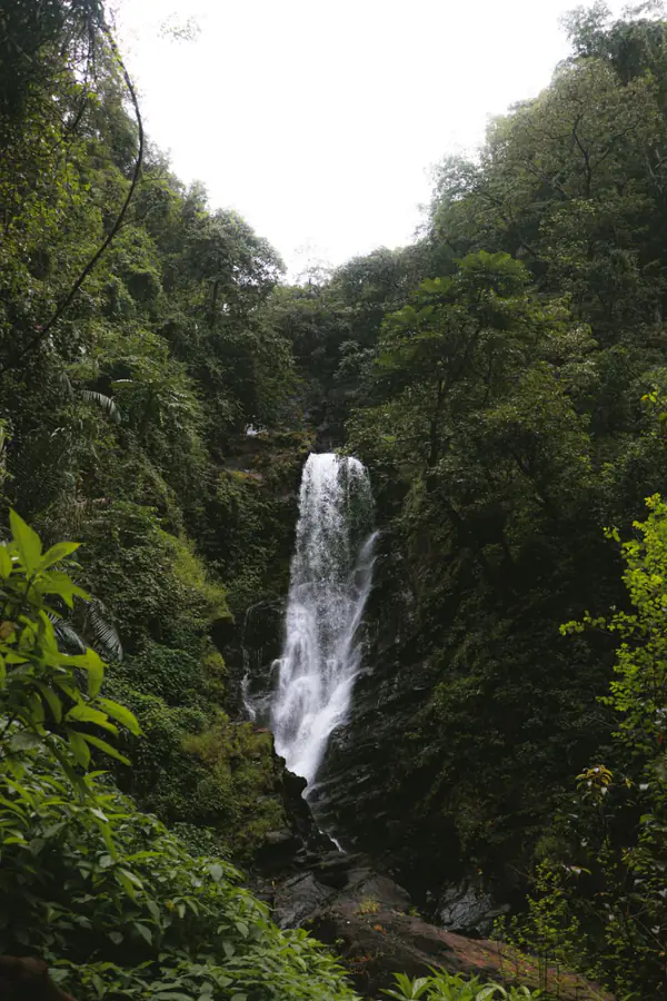 Waterfall in the Goan rainforest